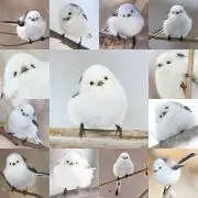 keiの画像