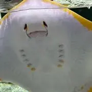 あと