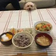 ぽてと