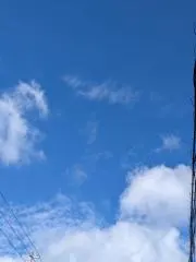 kenkenの画像