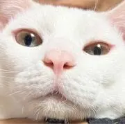 ♪てつお♪の画像