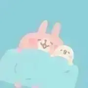 カクタイ500の画像