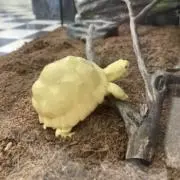 雨天