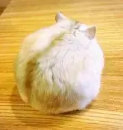 re