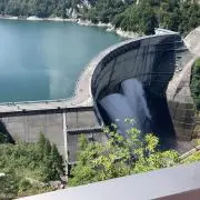 かの画像
