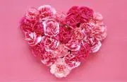 BabyPink☆彡の画像