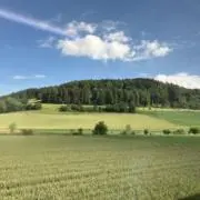 カーボンの画像