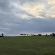 Tの画像