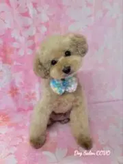 じんたんの画像