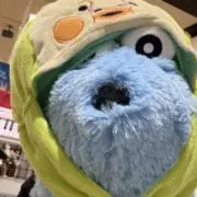 ぽん