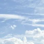 上杉