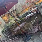 るるの画像