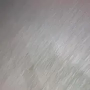 みの画像