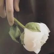 ♡ふーち♡の画像