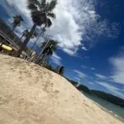 LunaMomoの画像