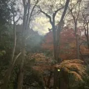 ソルティ・ドッグの画像