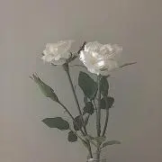 ᕱ⑅ᕱの画像
