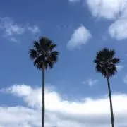 UB