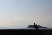 ほんやんの画像
