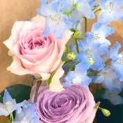 わかちゃんの画像
