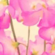 KenKenの画像