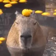 バービーの画像