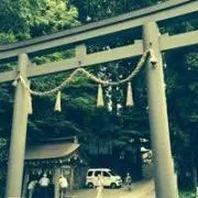 日向のどさんこ