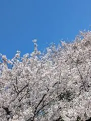 春夏わくわくの画像