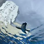 じょんの画像