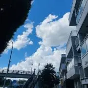 やす239の画像