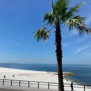 きょんの画像
