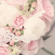 melodyの画像