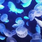 東條菊花の画像