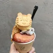 TRの画像