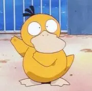 らんの画像