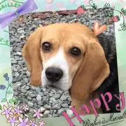 ☆まゆごん☆の画像