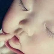 まりりんの画像