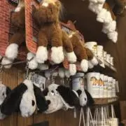 うさぎのしっぽの画像