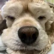 yumaの画像