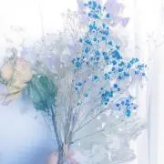 hikaruの画像