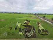しまっちの画像