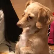 山ちゃん
