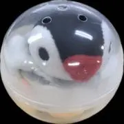 PINGA
