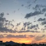 コウ★彡