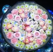 TAMAKOの画像