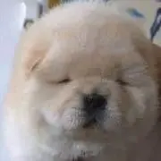 でもるん