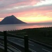 エイブの画像