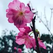 ゆうきの画像