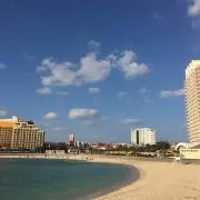 観測者
