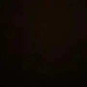 Saryの画像